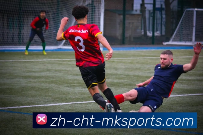 MK体育APP 封面图